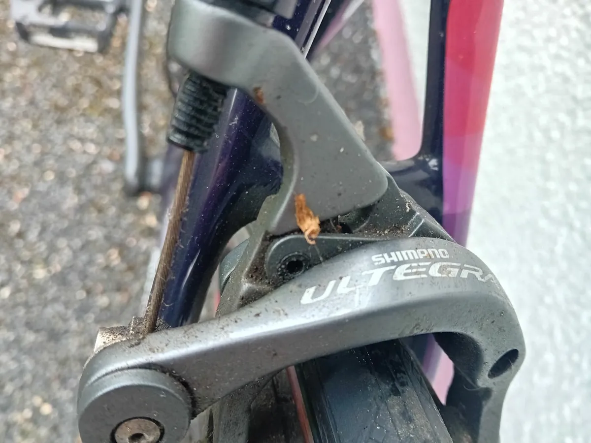 Specialized Carbon bike - Image 2