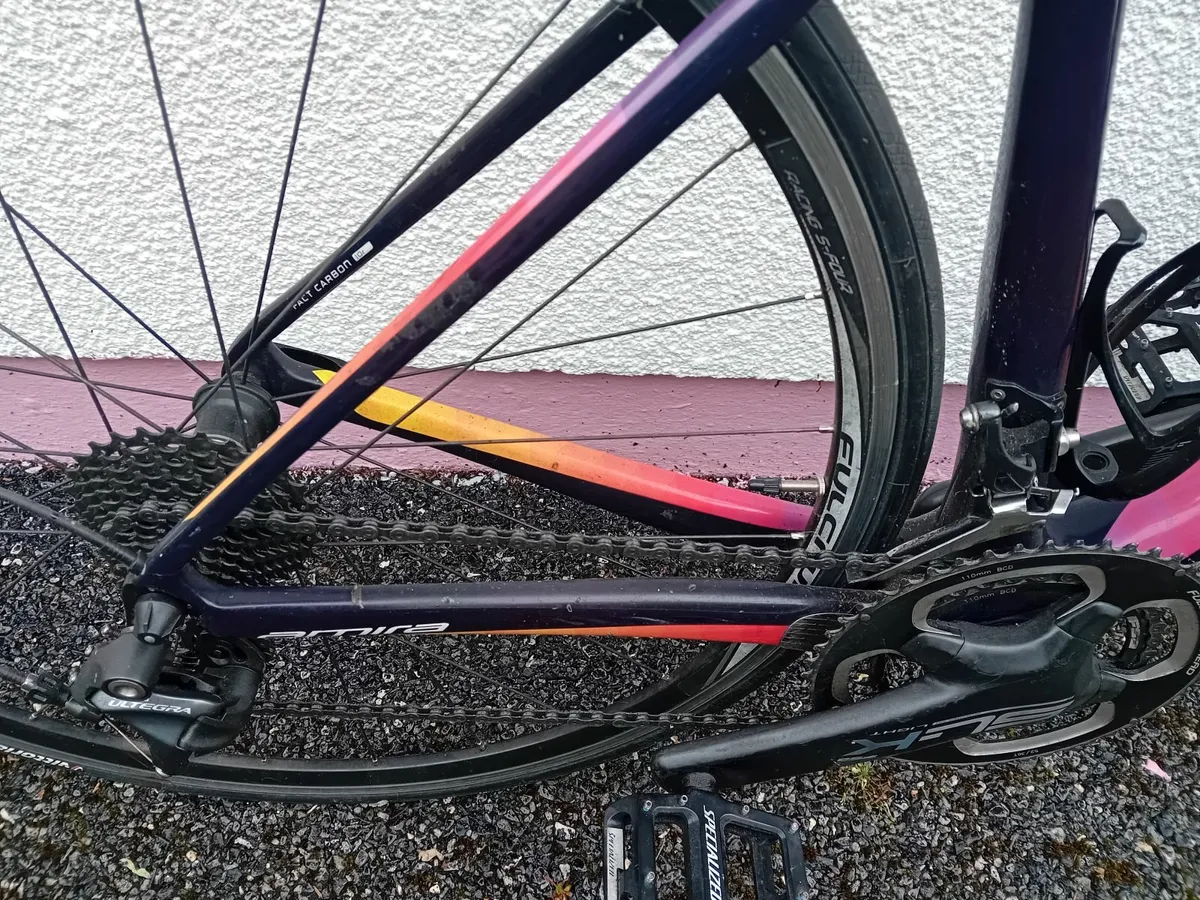 Specialized Carbon bike - Image 4