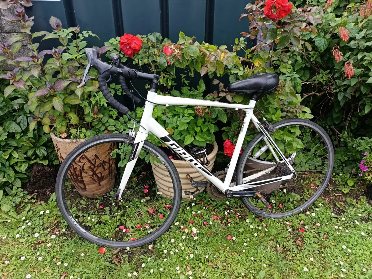 Giant Contend - Road Bike - Image 1