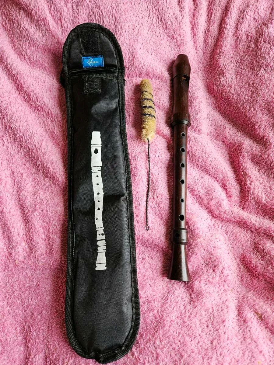 Recorder (wood- soprano size,like tin whistle) - Image 1