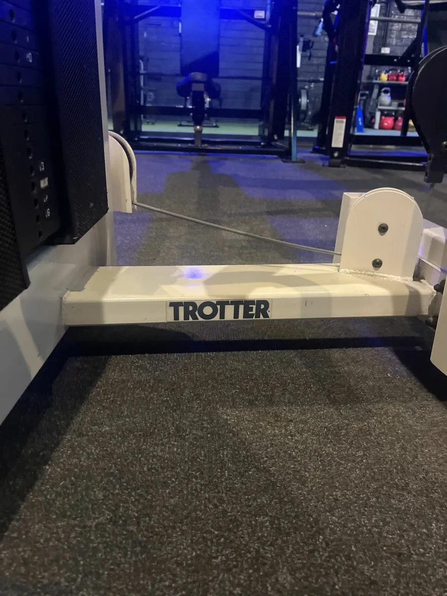 Trotter Shoulder Press - Image 2