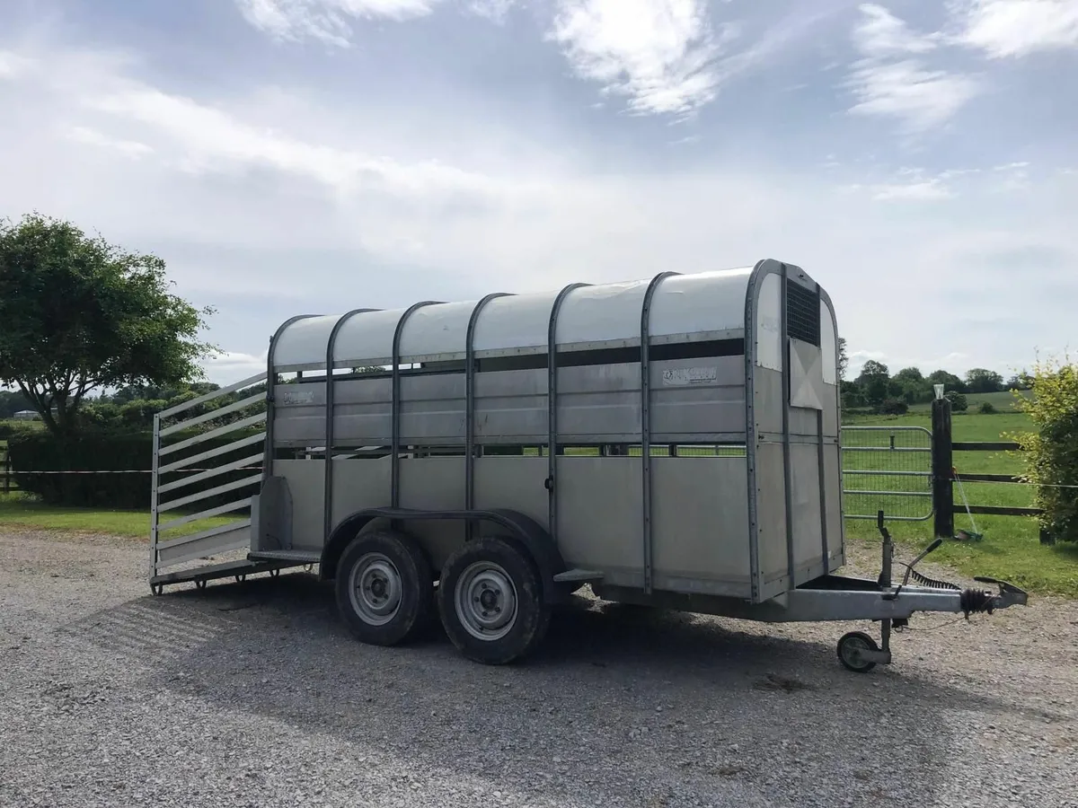 12ft Nugent Livestock - Image 2