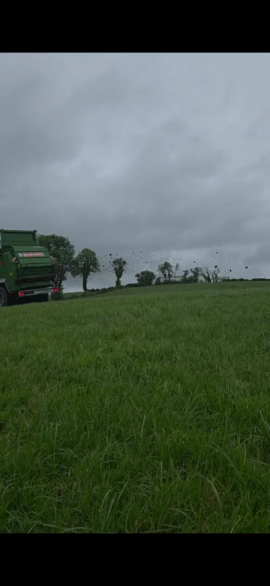Hen Manure - Image 2