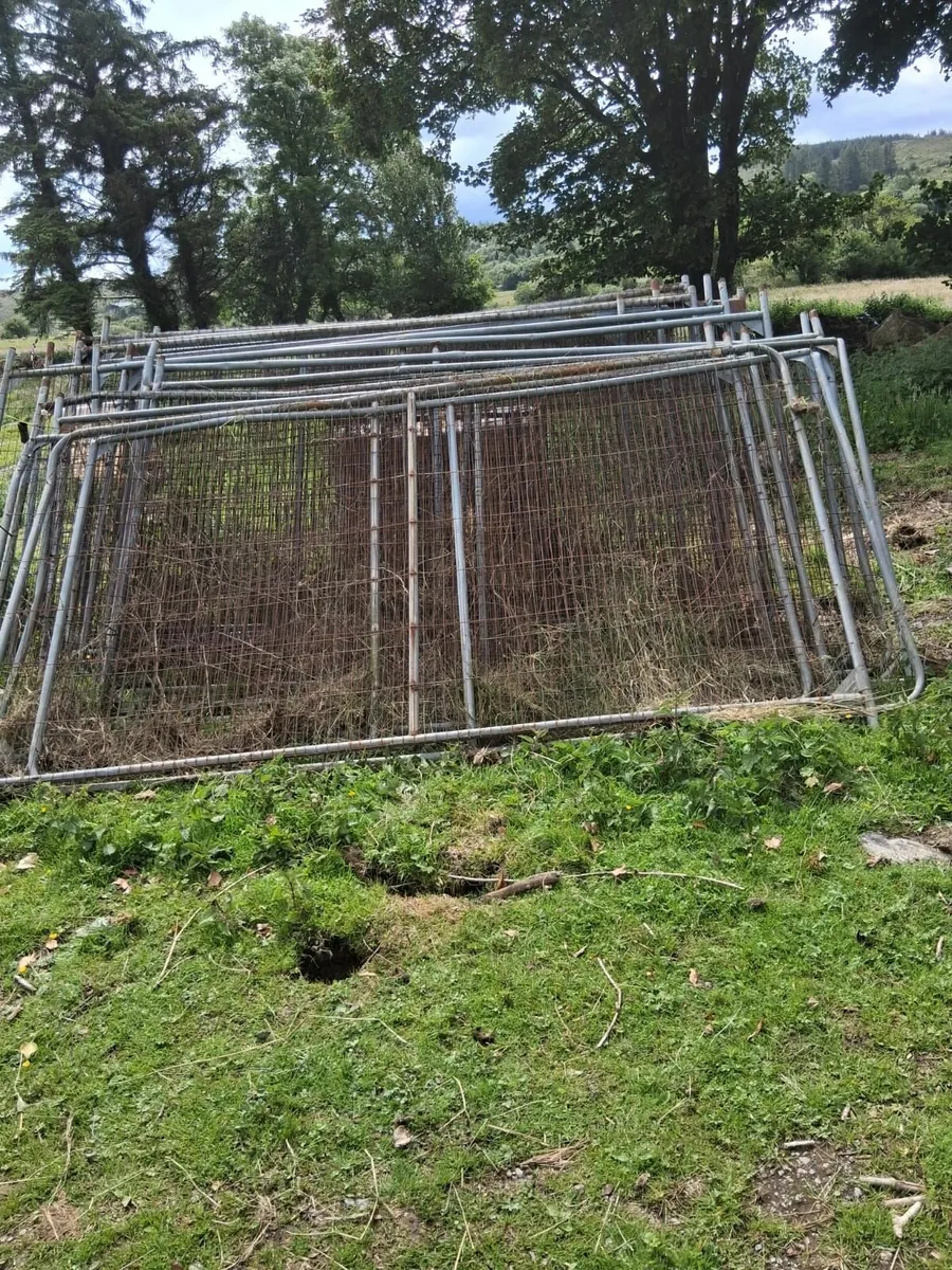 fencing and tin - Image 1