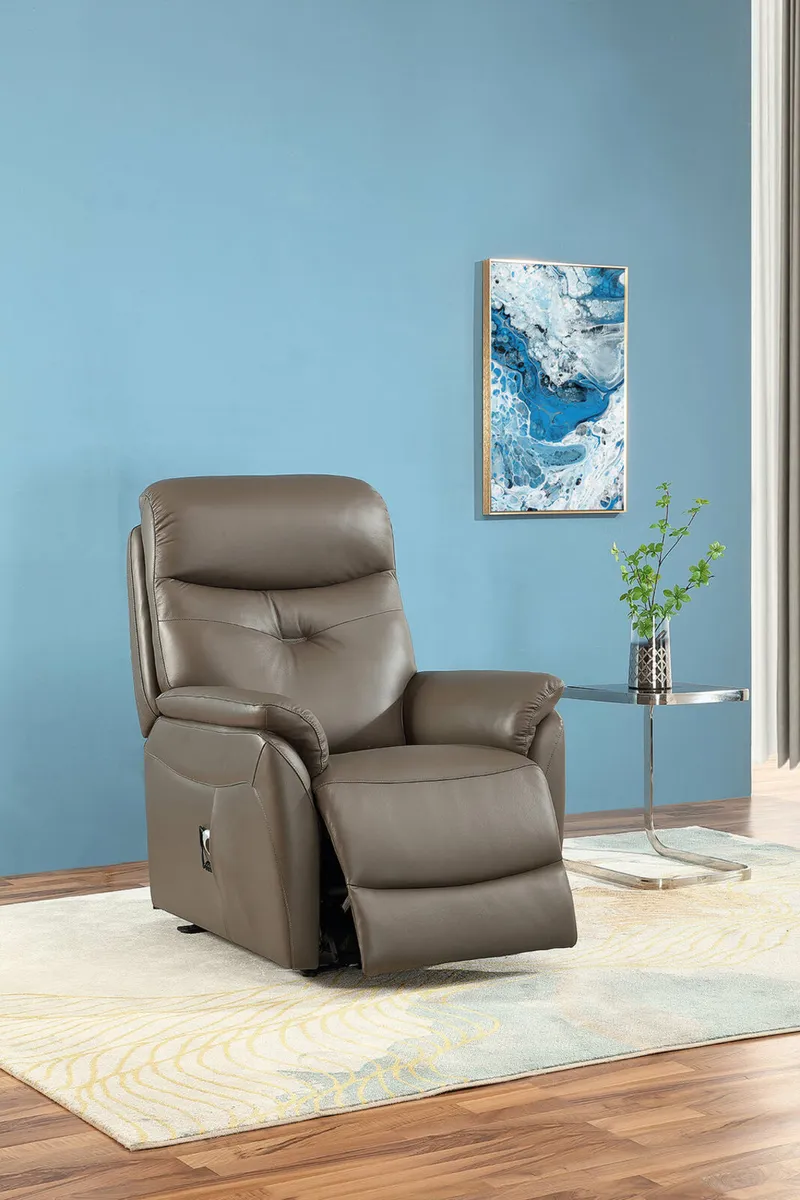 Mattia lift and rise electric recliner  chair