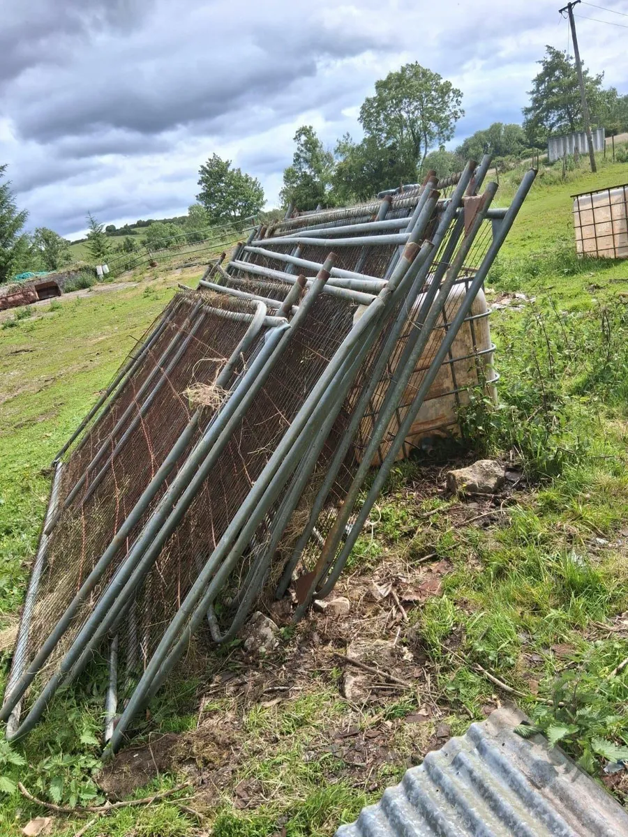 fencing and tin - Image 4