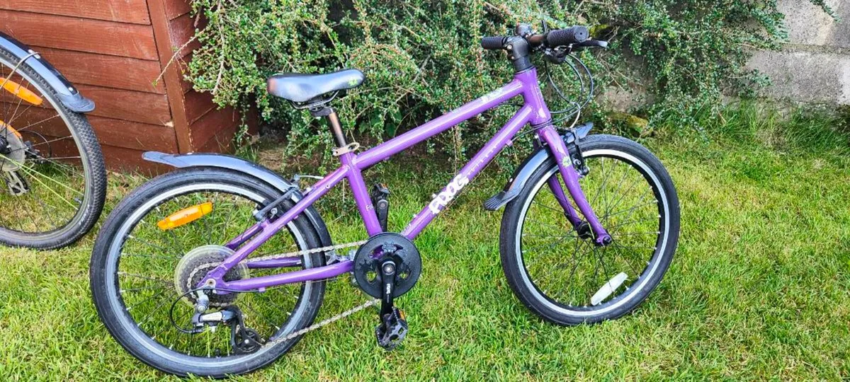 Frog 55 Bike - Image 1