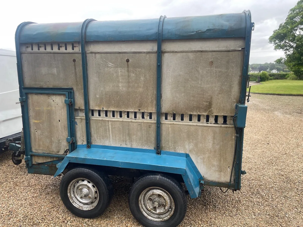 8x5 cattle /sheep trailer - Image 2