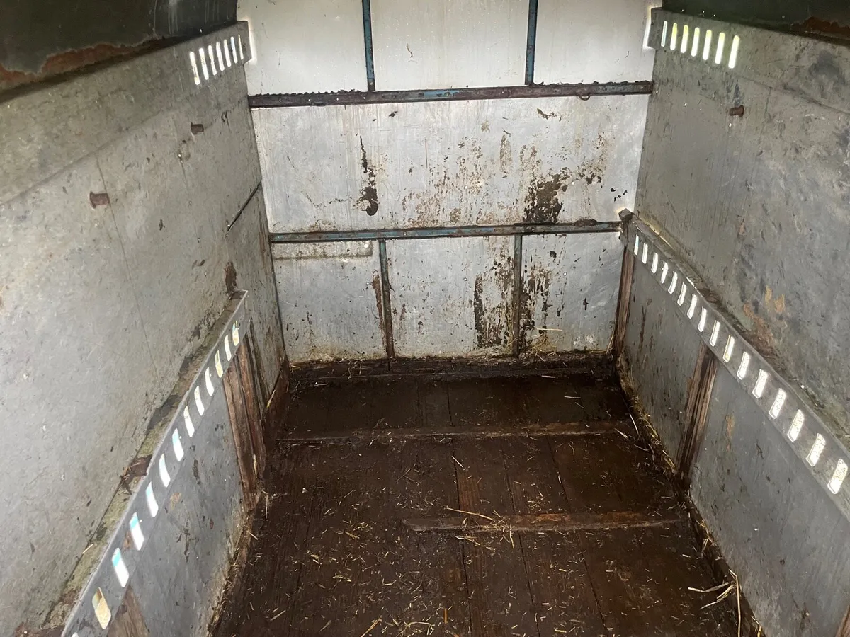 8x5 cattle /sheep trailer - Image 3