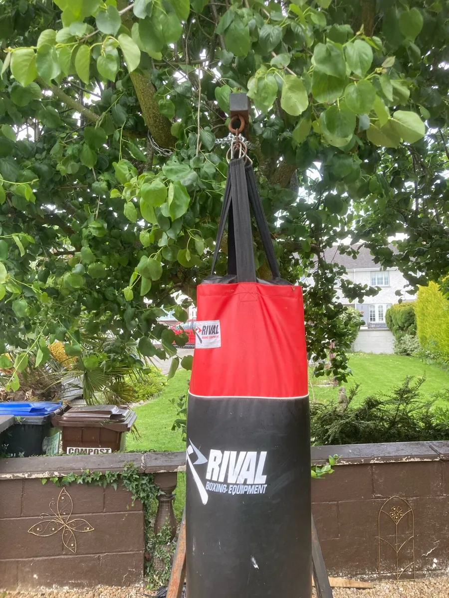 Boxing Bag - Image 1