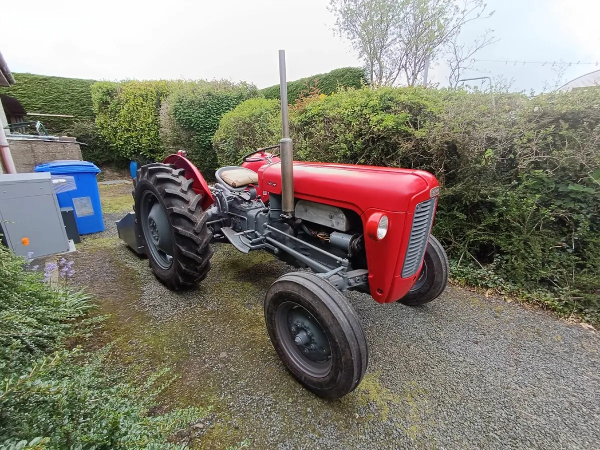 1959 Ferguson 35 Petrol TVO Tractor - Image 2