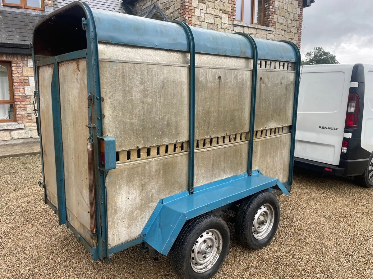 8x5 cattle /sheep trailer - Image 1