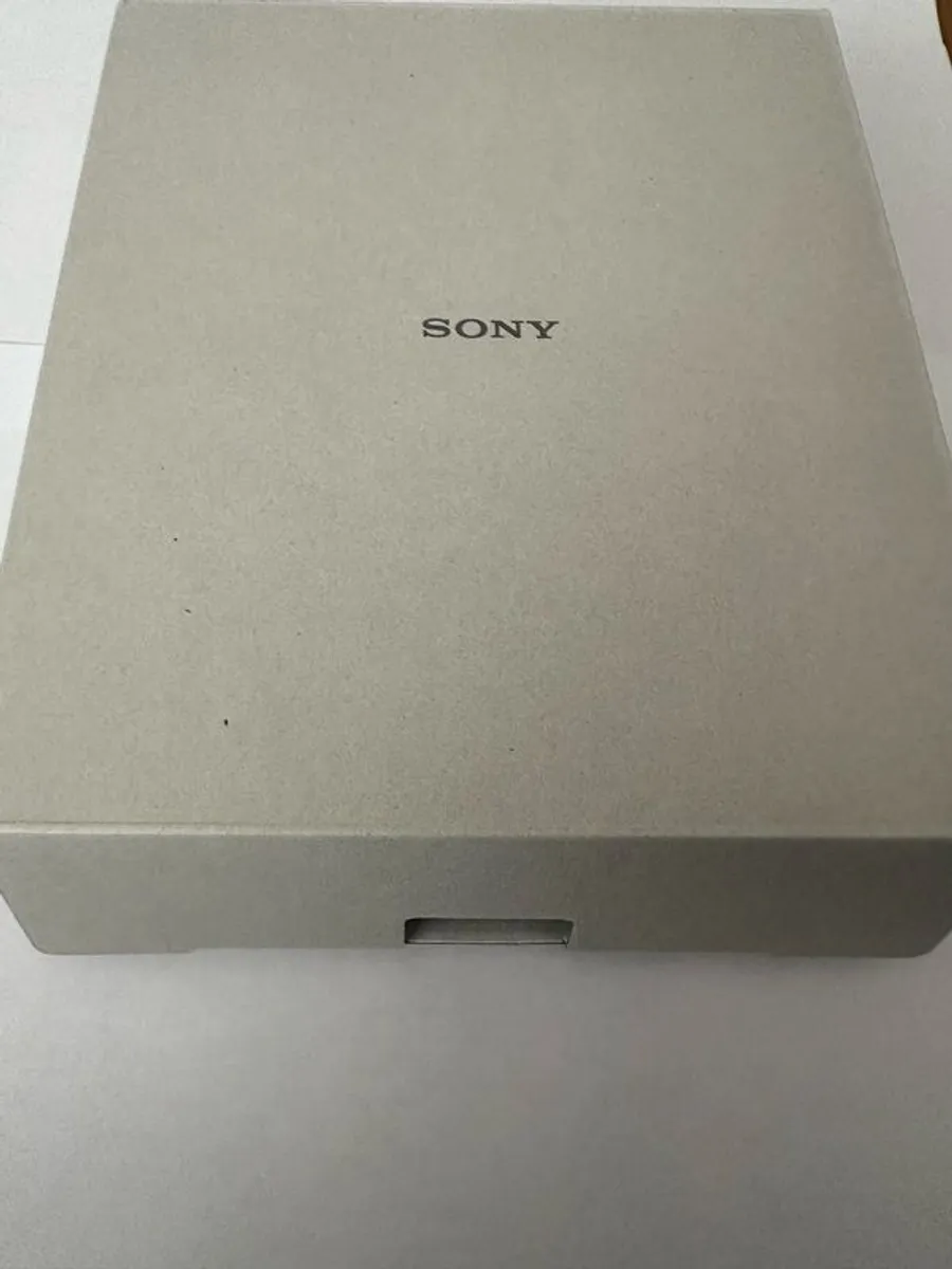 Sony Headphones WH-CH520 - BNIB - Image 3