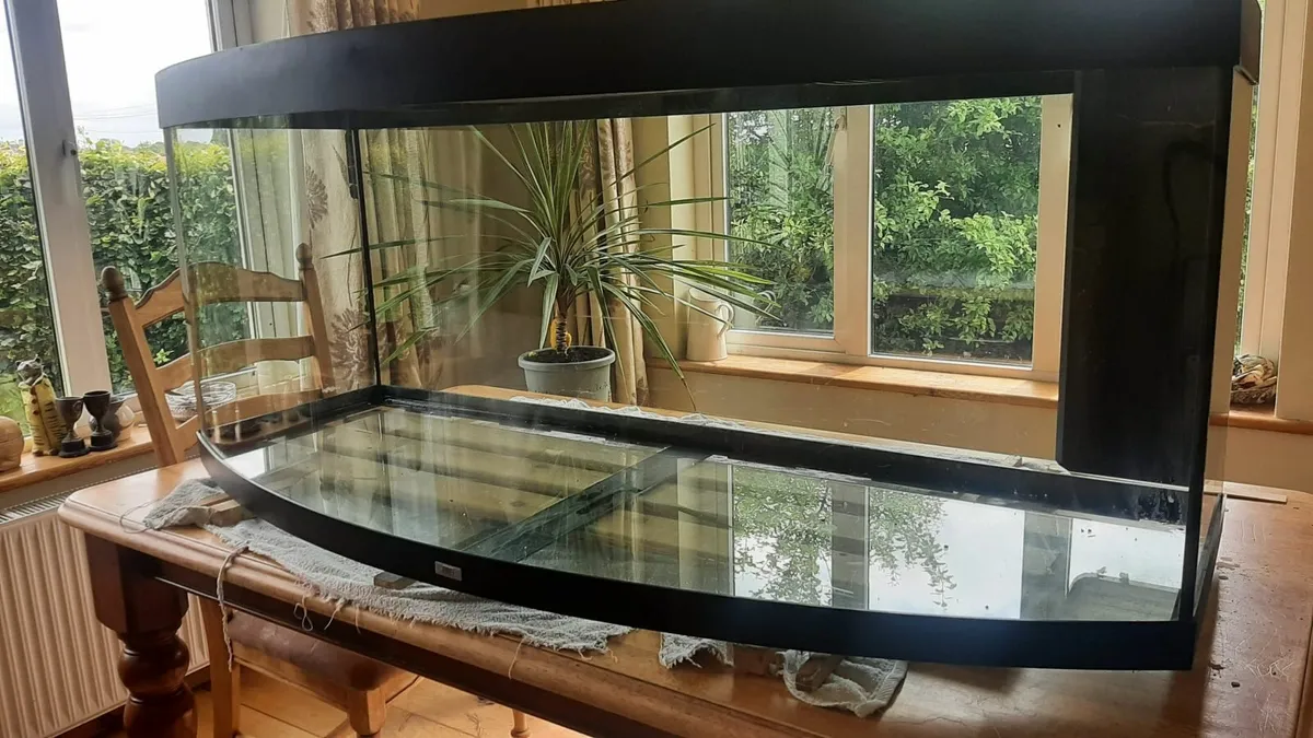 Juwel Bow Front 450 Fish Tank - Image 1
