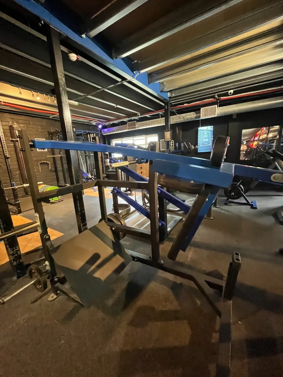 Pendulum Squat - Image 2