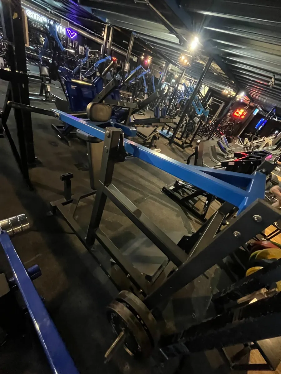 Pendulum Squat - Image 3