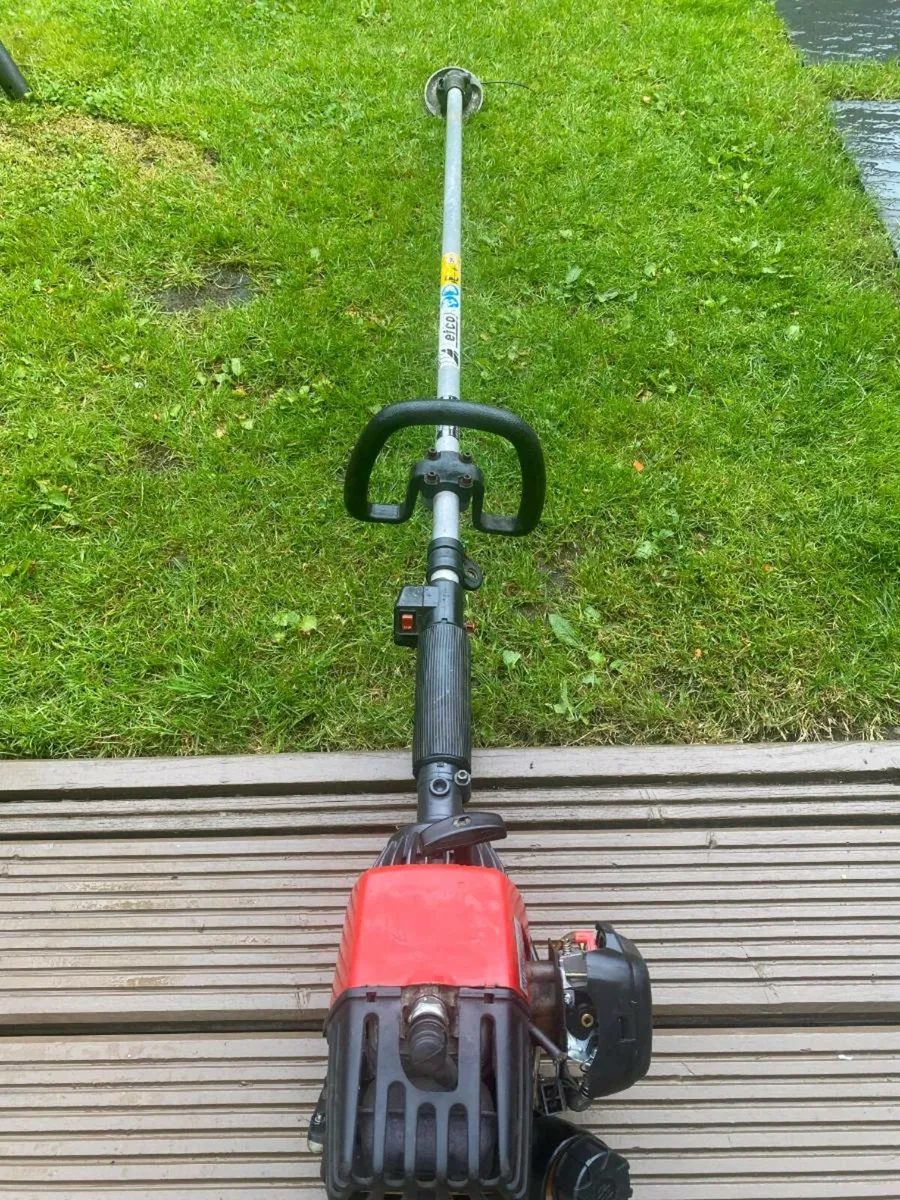 Efco 220 Petrol Strimmer - Image 1