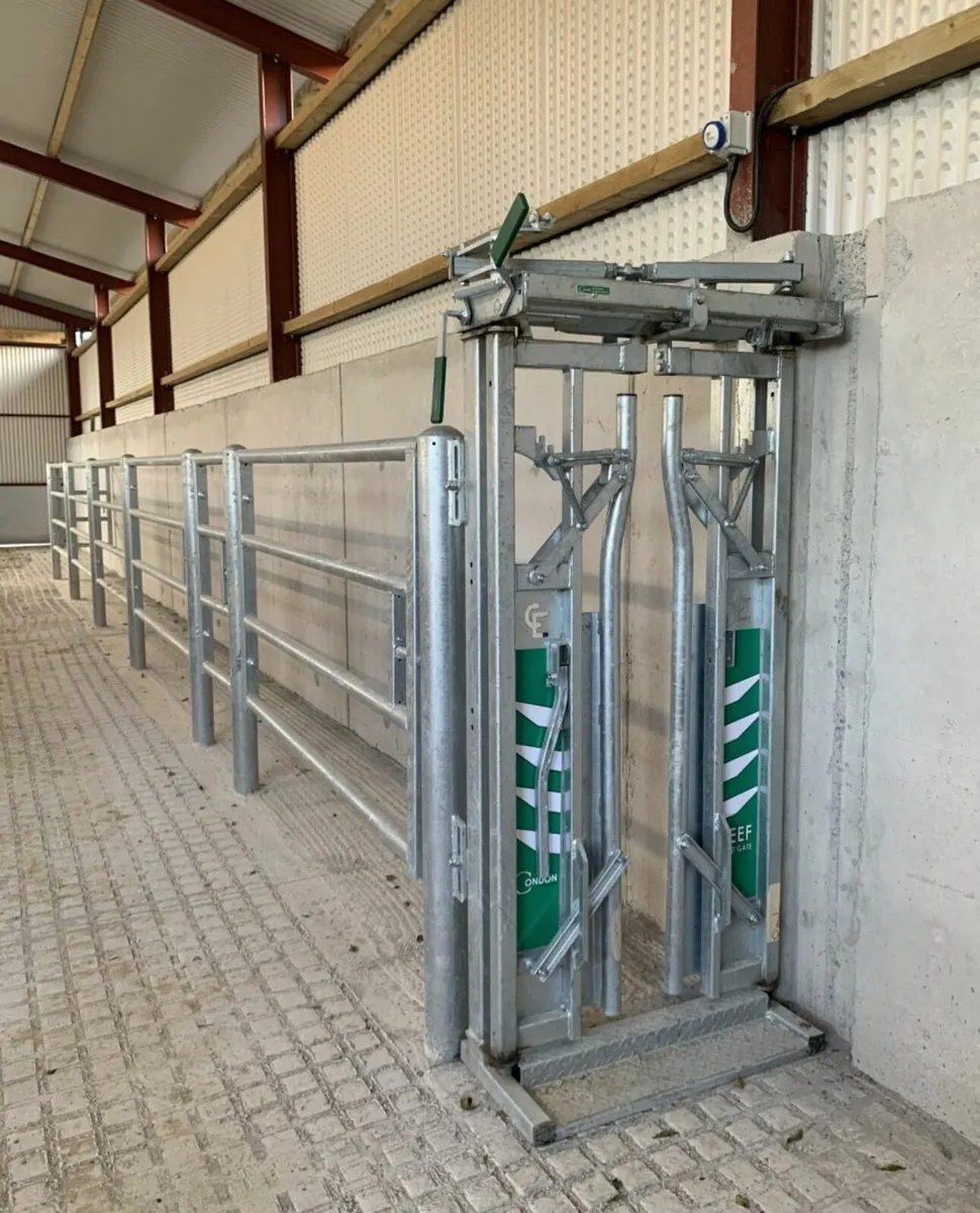 Shed fitouts - Image 2