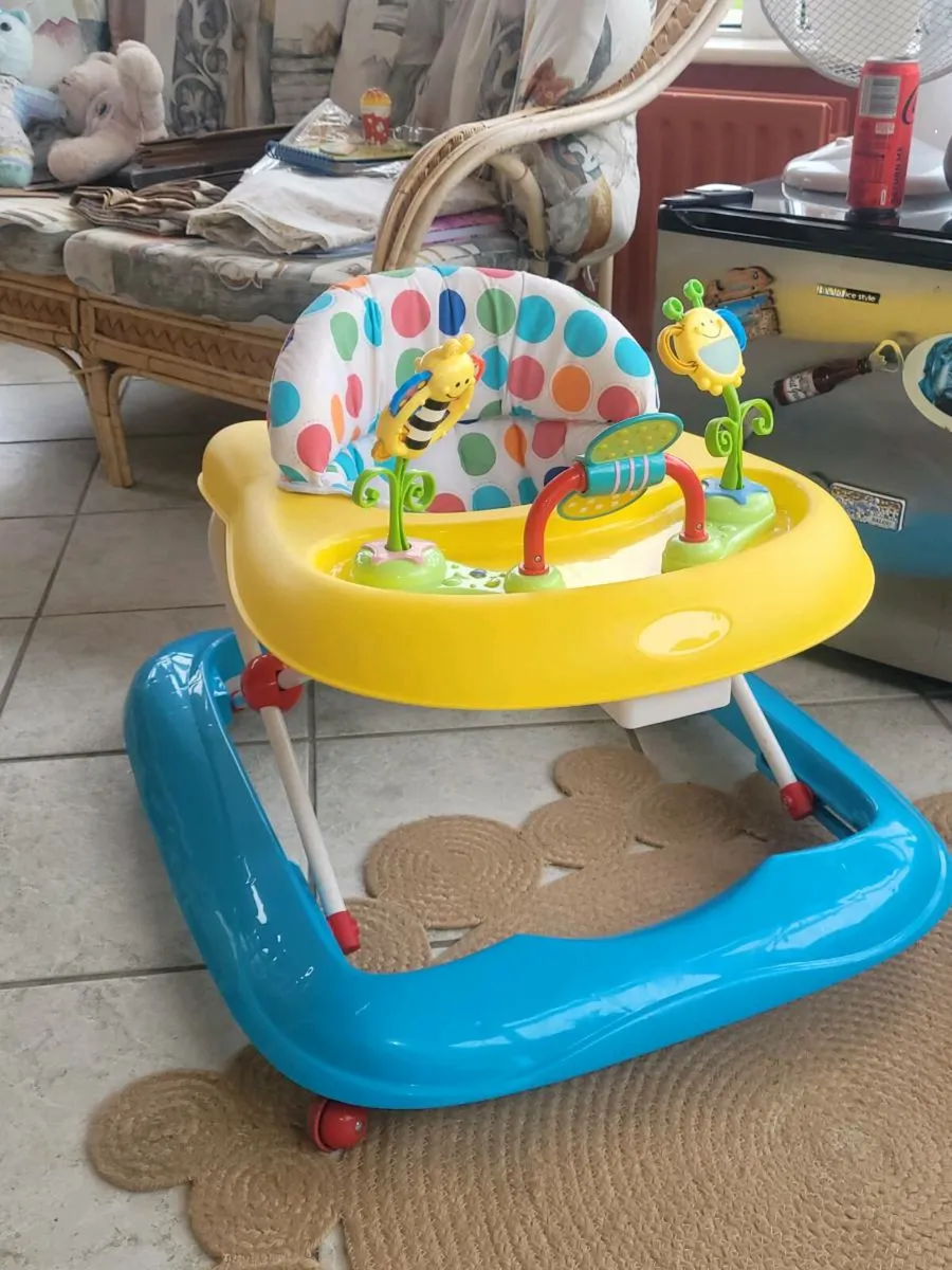 Walker, Floor Seat and Baby Swing - Image 1