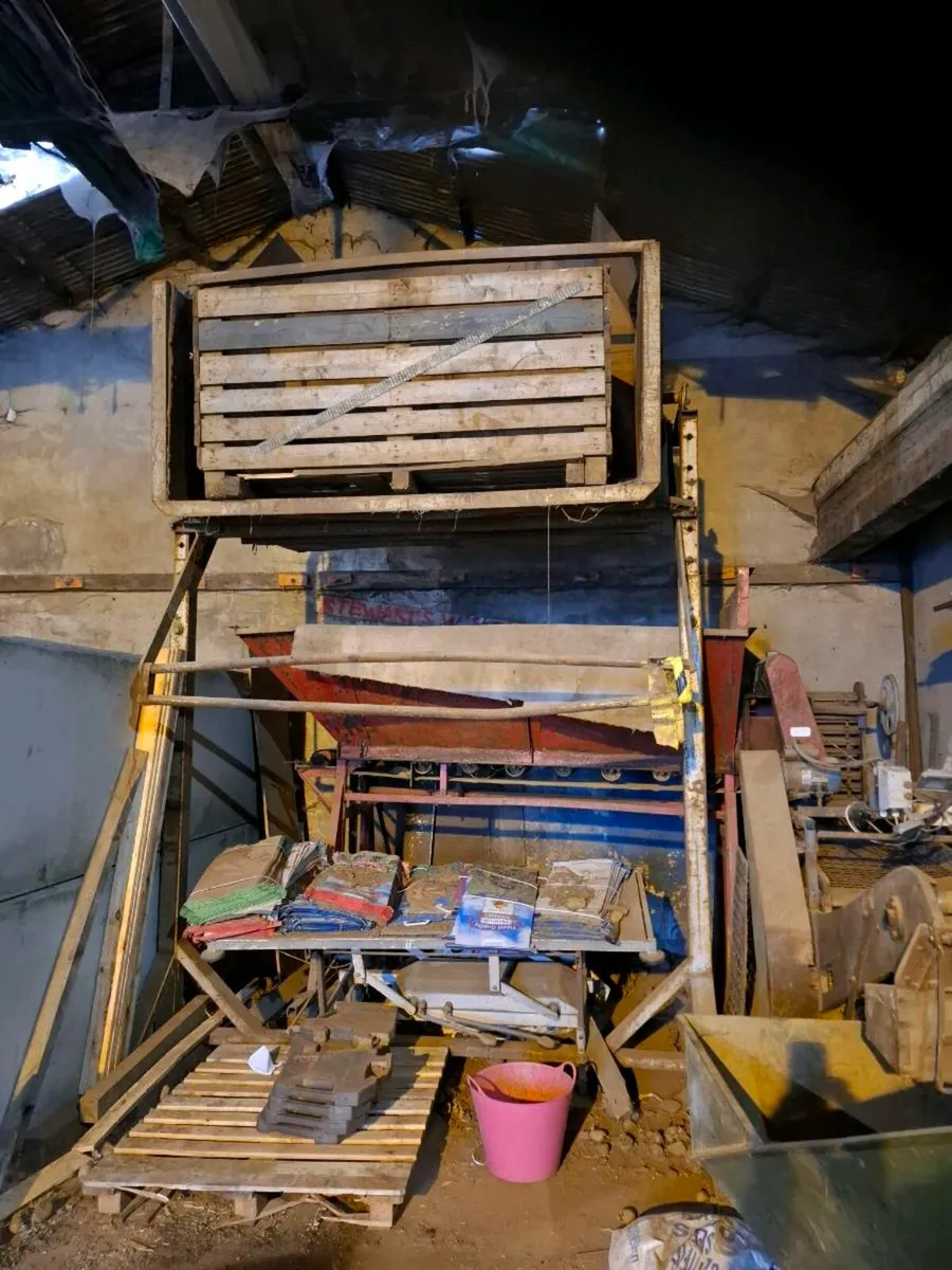 Potato grading and packing line - Image 1