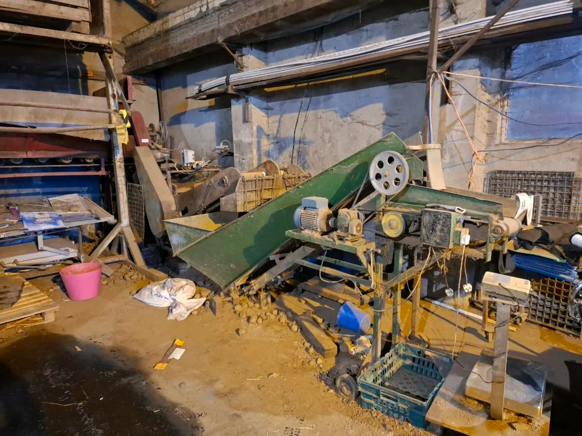 Potato grading and packing line - Image 4