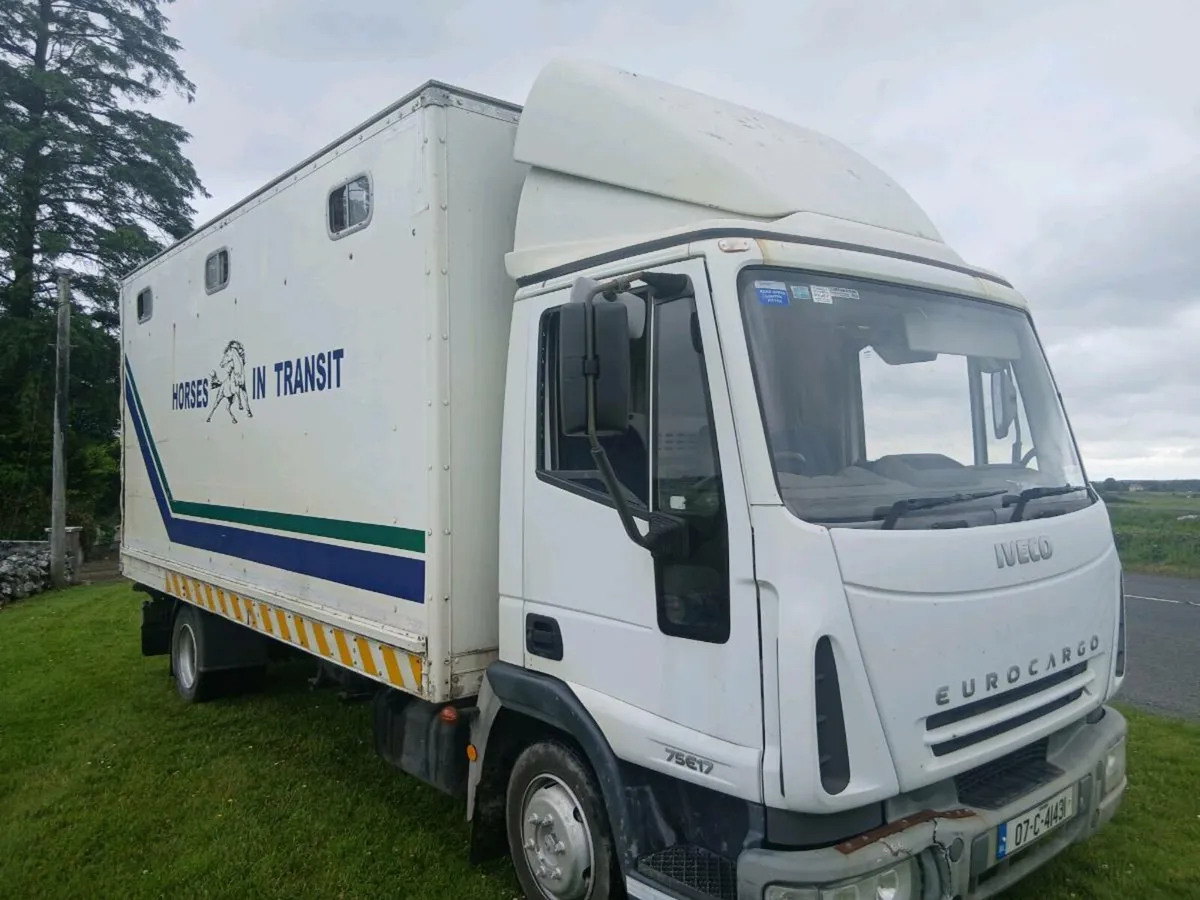 2007 iveco horse truck - Image 1