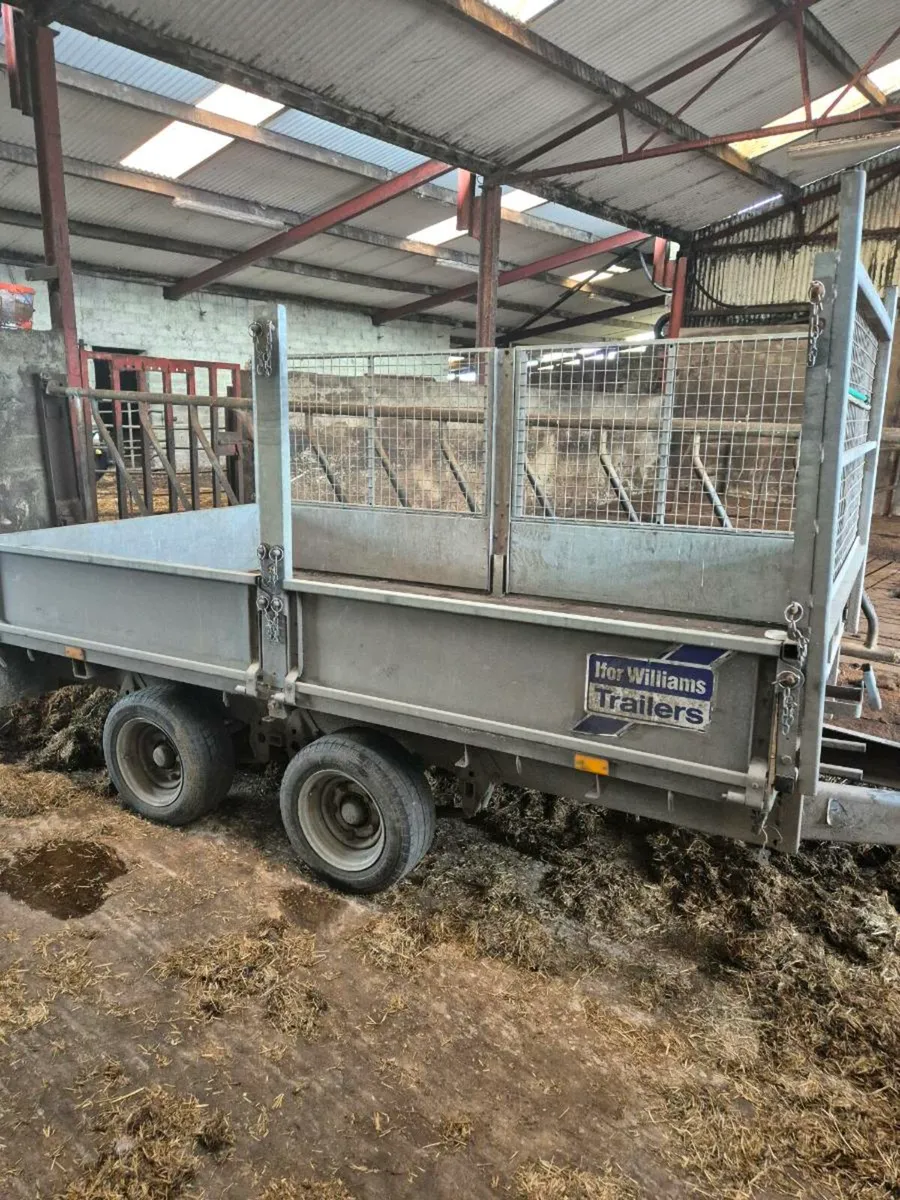 Ifor williams 10x5.5 flat trailer - Image 1
