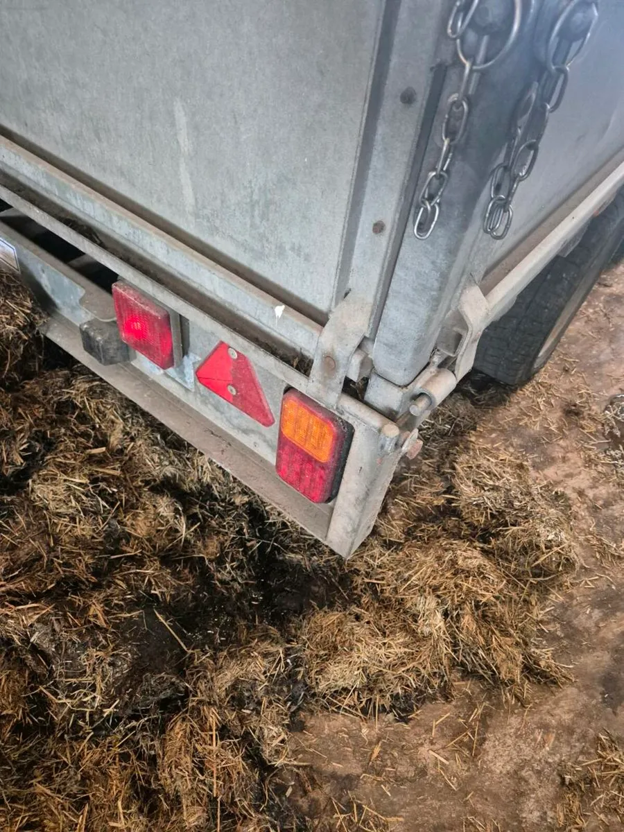 Ifor williams 10x5.5 flat trailer - Image 3