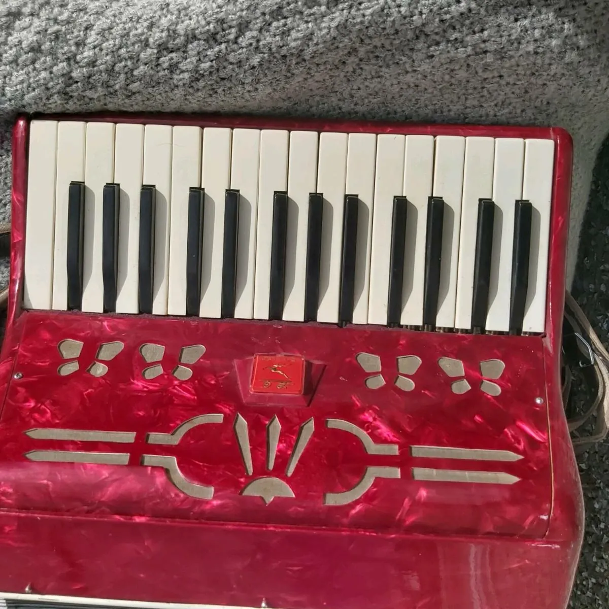 Accordion - Image 4