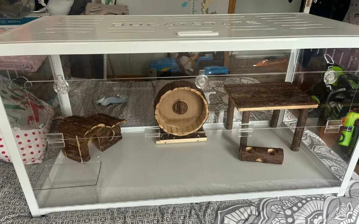 Hamster cage - Image 2