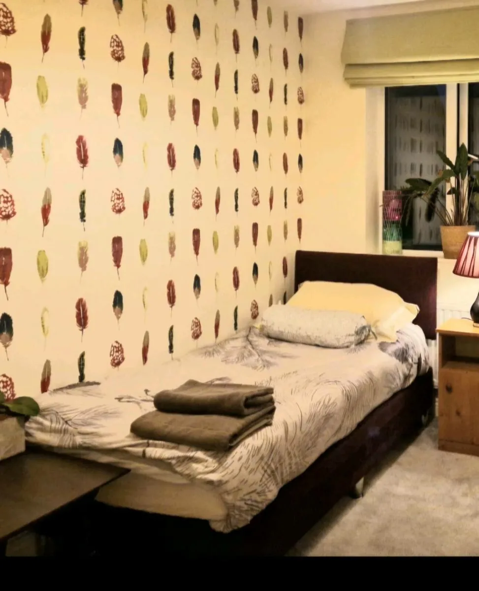 Luxury single bed base