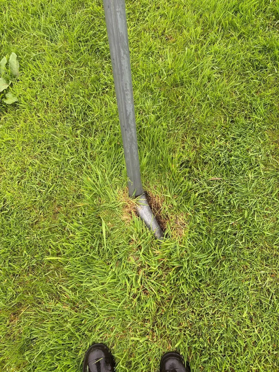 Swing - Image 2