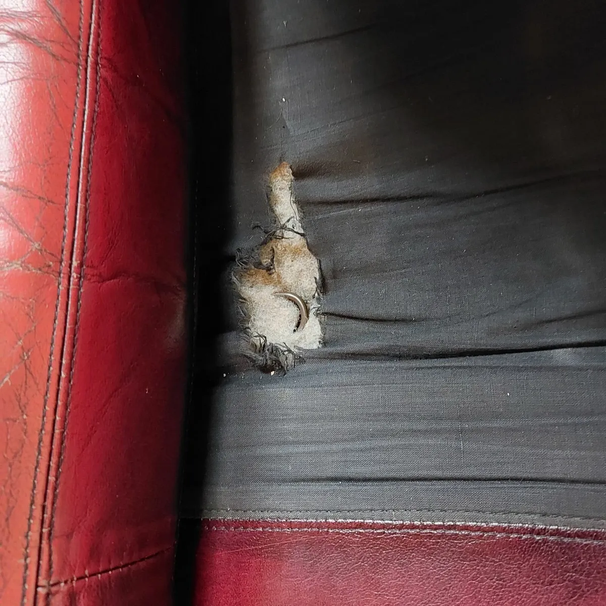 Chesterfield sofa - Image 3