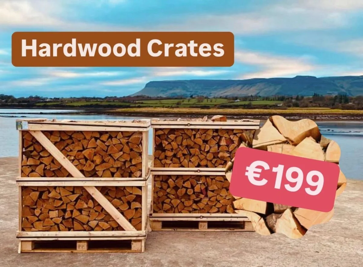 Kiln Dried Logs - Image 1