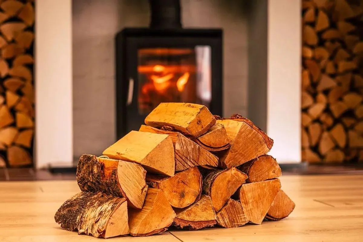 Kiln Dried Logs - Image 4