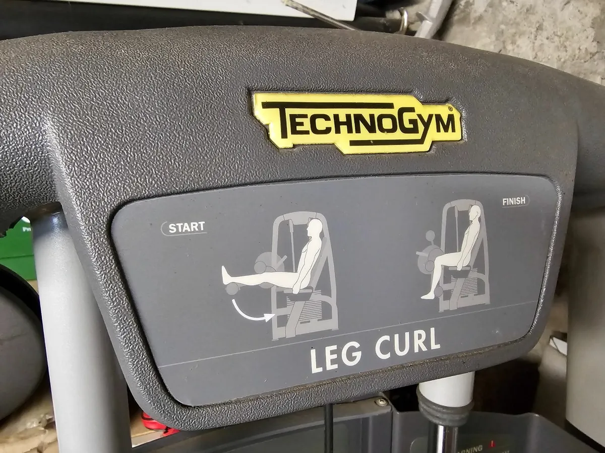 Leg Curl TechGym - Image 2