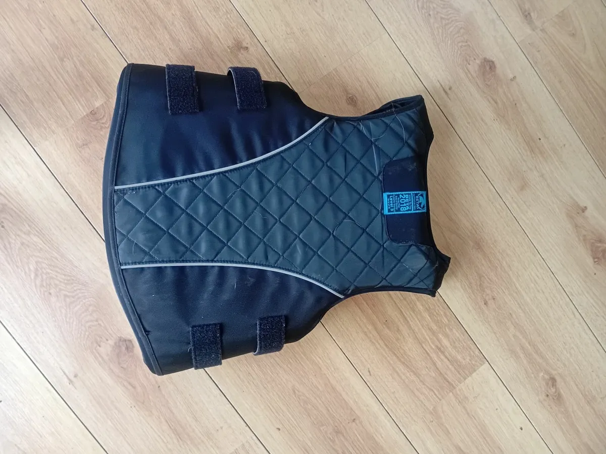 Body Protector - Image 1