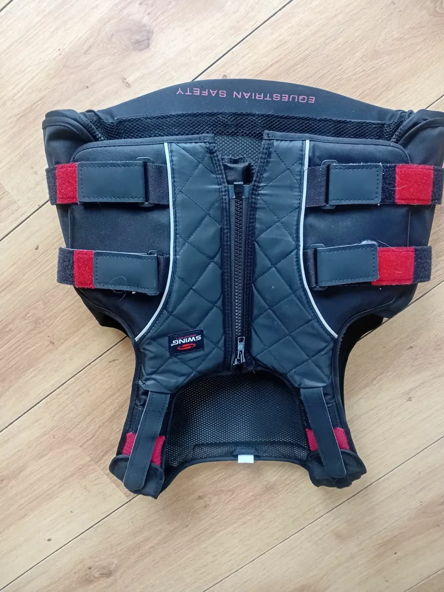 Body Protector - Image 4