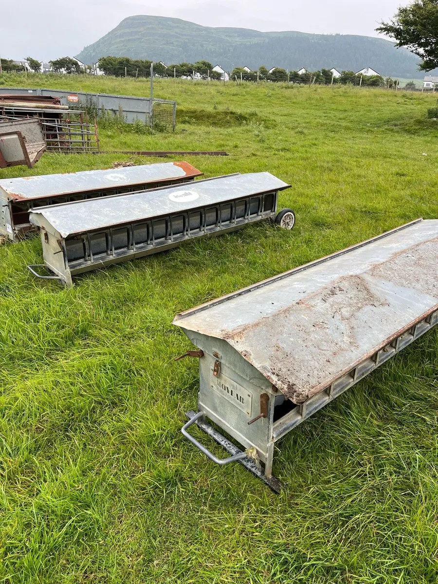 3 Lamb feeders for sale - Image 1