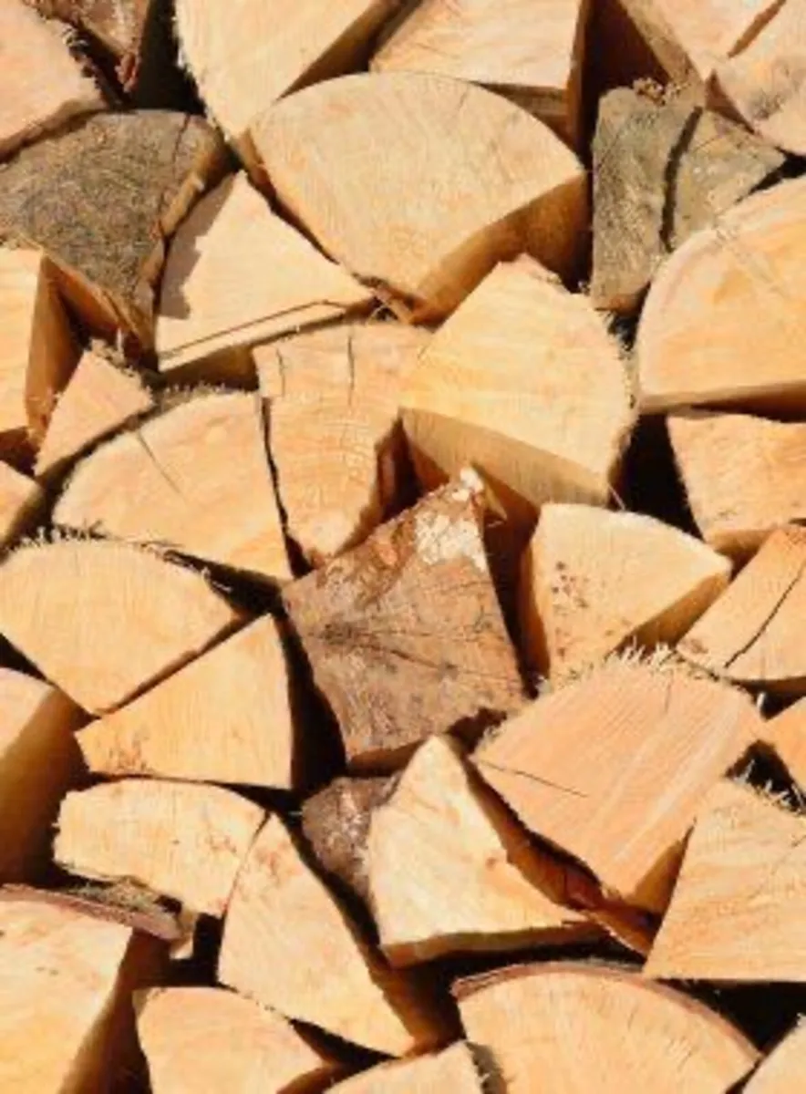 Kiln Dried Logs - Image 4