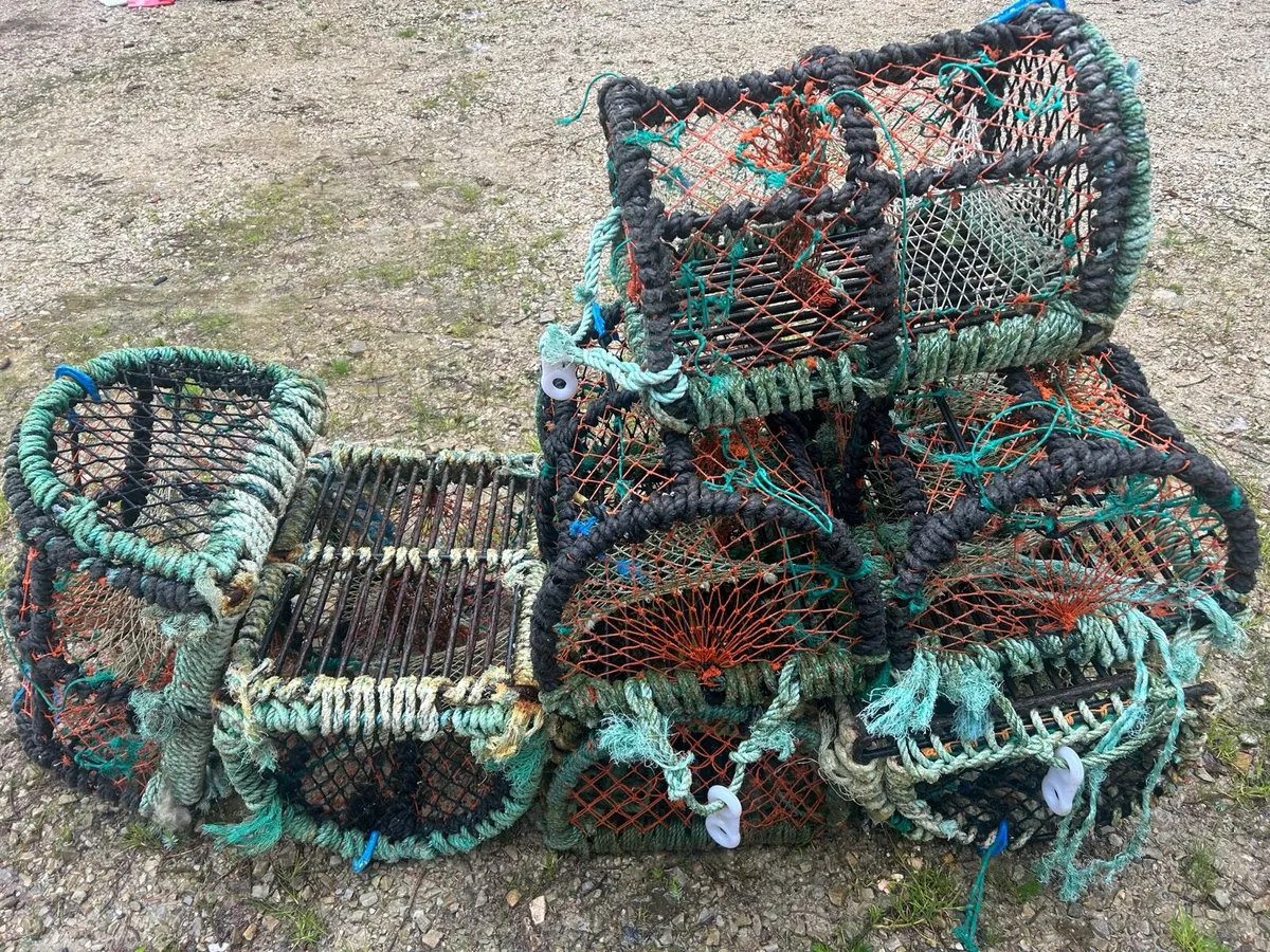 Lobster pots - Image 1