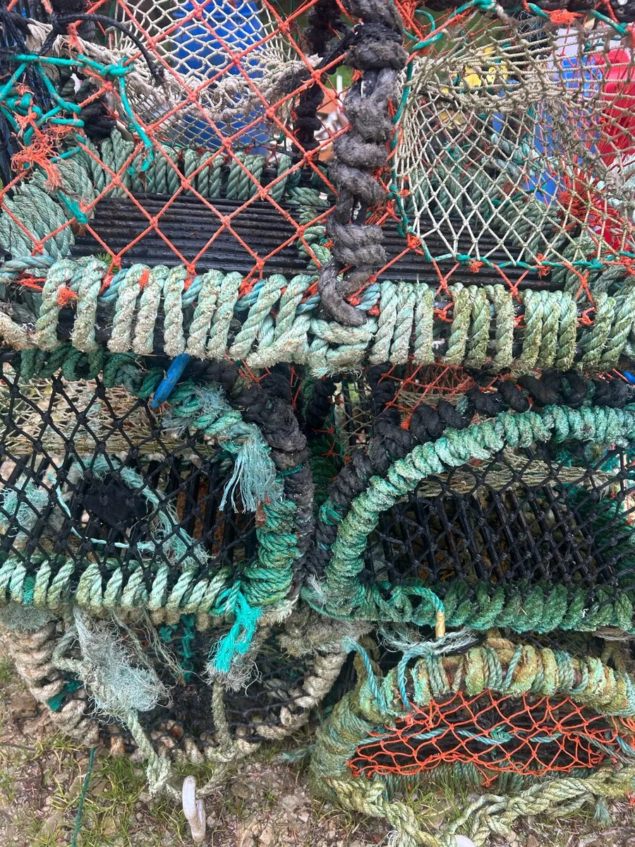 Lobster pots - Image 3