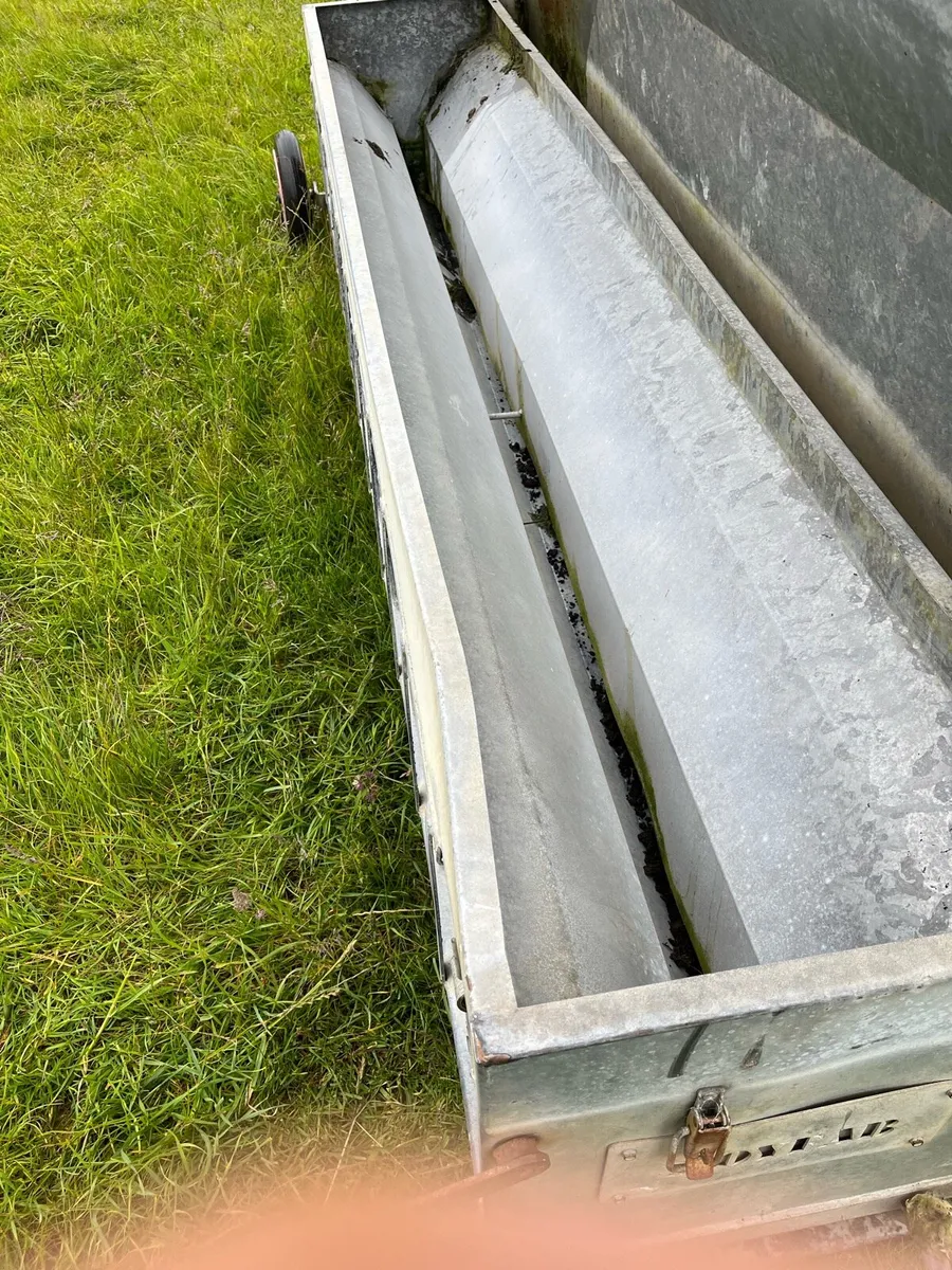 3 Lamb feeders for sale - Image 3