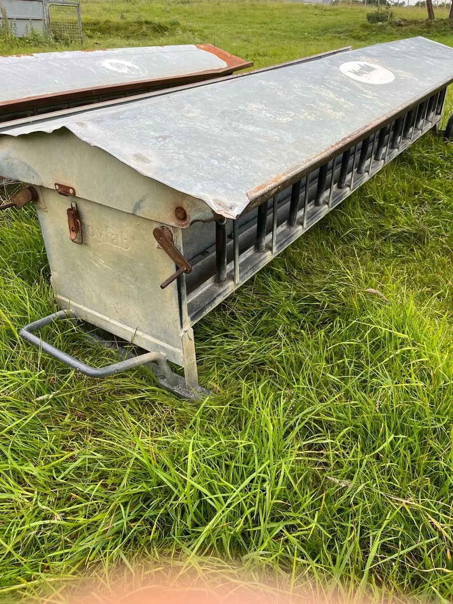 3 Lamb feeders for sale - Image 4