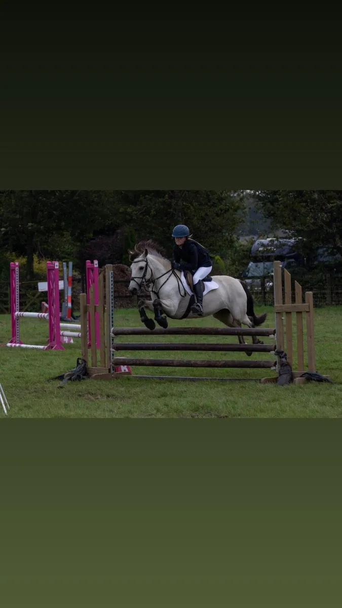 128 pony - Image 2