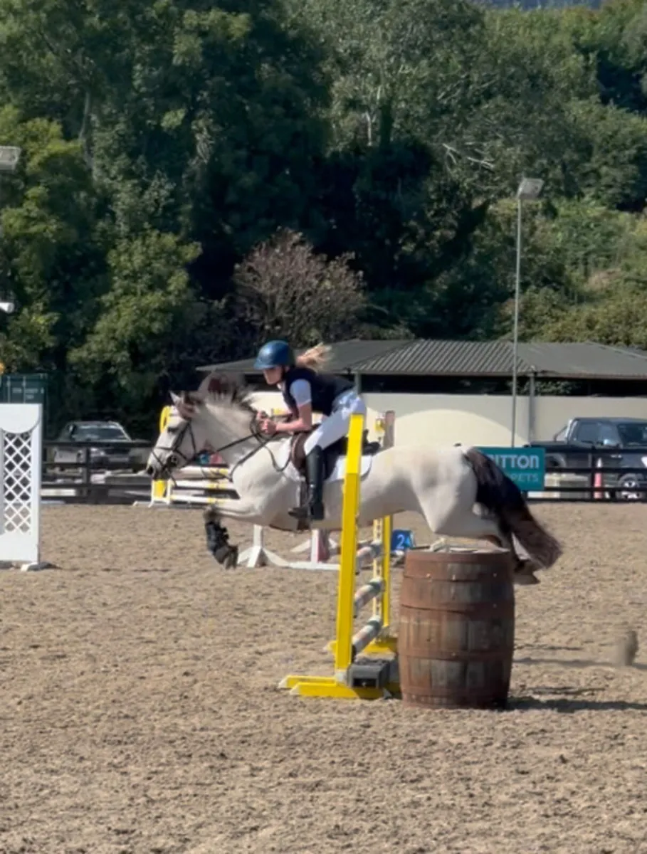 128 pony - Image 3