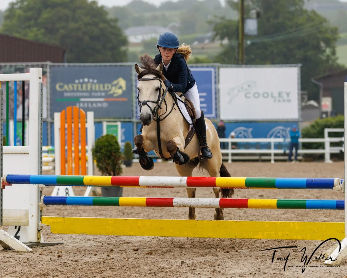 128 pony - Image 1