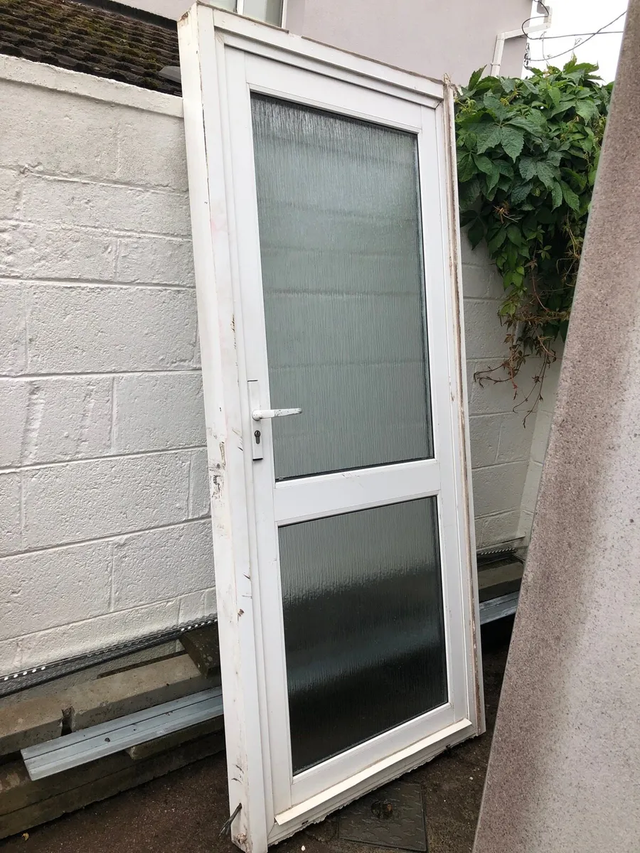Aluminum double glazed back door - Image 1