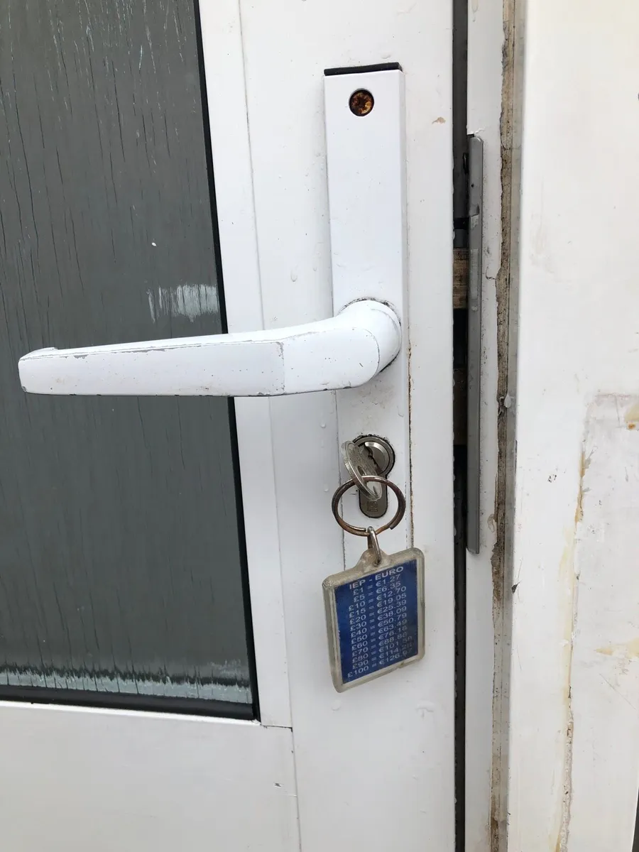 Aluminum double glazed back door - Image 4