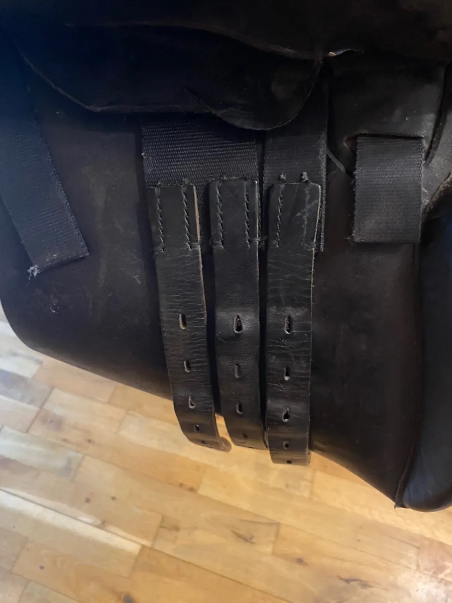 Saddle - Image 3